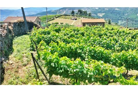 Helårsgrund i Sabrosa, Vila Real, Sabrosa - € 120.000 | Ref: MH2341 - foto 10