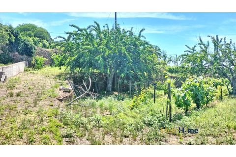 Helårsgrund i Sabrosa, Vila Real, Sabrosa - € 120.000 | Ref: MH2341 - foto 12
