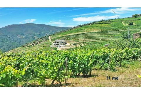 Helårsgrund i Sabrosa, Vila Real, Sabrosa - € 120.000 | Ref: MH2341 - foto 14