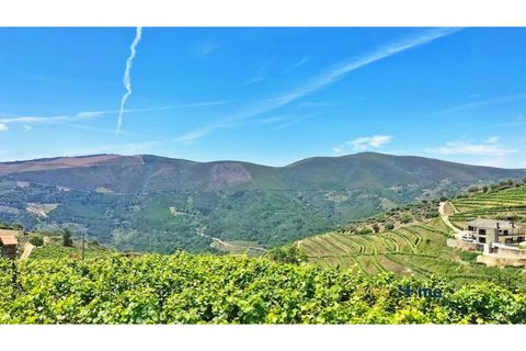 Helårsgrund i Sabrosa, Vila Real, Sabrosa - € 120.000 | Ref: MH2341 - foto 16