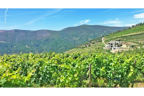 Helårsgrund i Sabrosa, Vila Real, Sabrosa - € 120.000 | Ref: MH2341 - foto 17