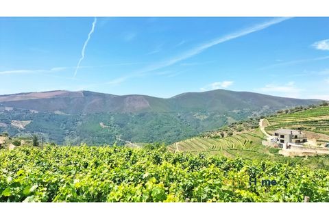 Helårsgrund i Sabrosa, Vila Real, Sabrosa - € 120.000 | Ref: MH2341 - foto 18