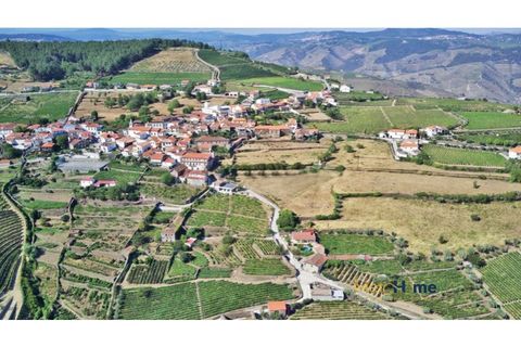 Helårsgrund i Sabrosa, Vila Real, Sabrosa - € 120.000 | Ref: MH2341 - foto 19