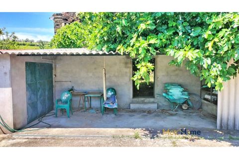 Helårsgrund i Sabrosa, Vila Real, Sabrosa - € 120.000 | Ref: MH2341 - foto 21