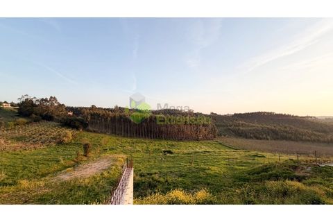 Villa a Cadaval, Lisbon, Cadaval - € 695.000 | Ref: 1400 - foto 28