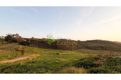 Villa a Cadaval, Lisbon, Cadaval - € 695.000 | Ref: 1400 - foto 29