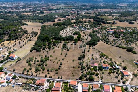 Helårsgrund i Tomar, Santarem, Tomar - € 238.000 | Ref: ZMPT559351 - foto 3
