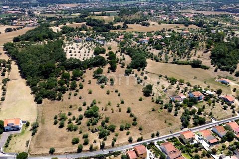 Helårsgrund i Tomar, Santarem, Tomar - € 238.000 | Ref: ZMPT559351 - foto 4