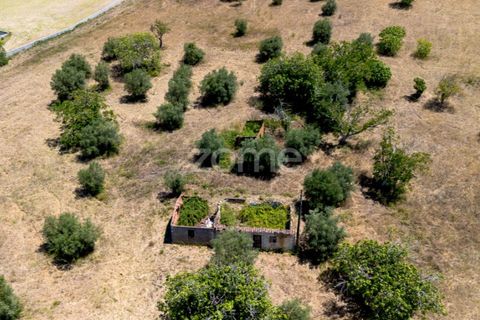 Helårsgrund i Tomar, Santarem, Tomar - € 238.000 | Ref: ZMPT559351 - foto 1