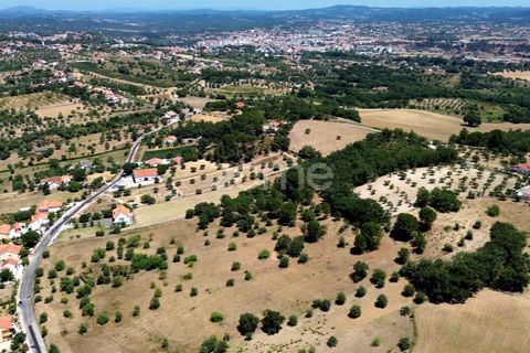 Helårsgrund i Tomar, Santarem, Tomar - € 238.000 | Ref: ZMPT559351 - foto 7