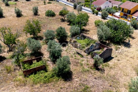 Helårsgrund i Tomar, Santarem, Tomar - € 238.000 | Ref: ZMPT559351 - foto 8