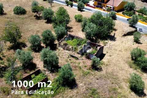 Helårsgrund i Tomar, Santarem, Tomar - € 238.000 | Ref: ZMPT559351 - foto 11