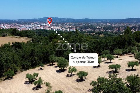 Helårsgrund i Tomar, Santarem, Tomar - € 238.000 | Ref: ZMPT559351 - foto 12