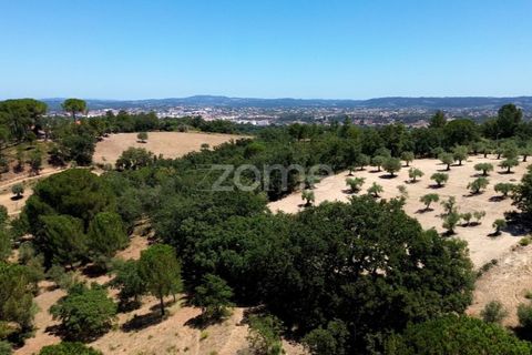 Helårsgrund i Tomar, Santarem, Tomar - € 238.000 | Ref: ZMPT559351 - foto 13