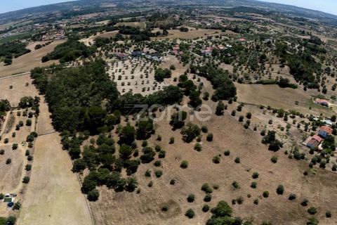 Helårsgrund i Tomar, Santarem, Tomar - € 238.000 | Ref: ZMPT559351 - foto 15