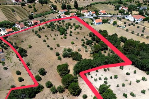 Helårsgrund i Tomar, Santarem, Tomar - € 238.000 | Ref: ZMPT559351 - foto 17