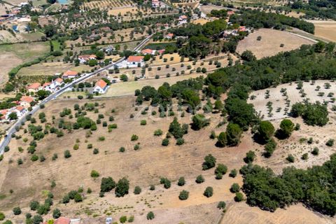 Helårsgrund i Tomar, Santarem, Tomar - € 238.000 | Ref: ZMPT559351 - foto 18