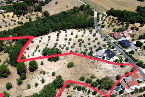 Helårsgrund i Tomar, Santarem, Tomar - € 238.000 | Ref: ZMPT559351 - foto 19