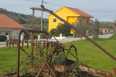 Helårsgrund i Tomar, Santarem, Tomar - € 238.000 | Ref: ZMPT559351 - foto 21