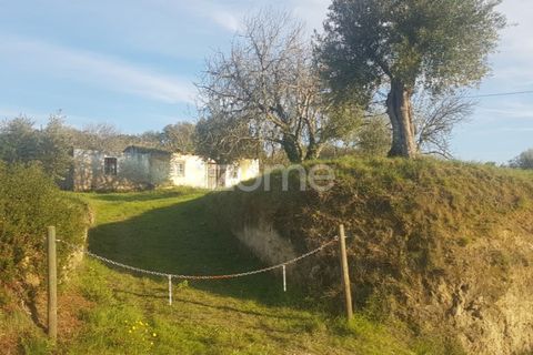 Helårsgrund i Tomar, Santarem, Tomar - € 238.000 | Ref: ZMPT559351 - foto 22