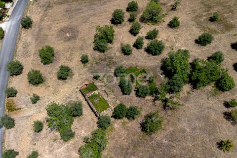 Helårsgrund i Tomar, Santarem, Tomar - € 238.000 | Ref: ZMPT559351 - foto 6