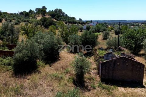 Helårsgrund i Tomar, Santarem, Tomar - € 238.000 | Ref: ZMPT559351 - foto 9