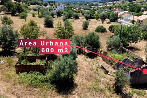Helårsgrund i Tomar, Santarem, Tomar - € 238.000 | Ref: ZMPT559351 - foto 5