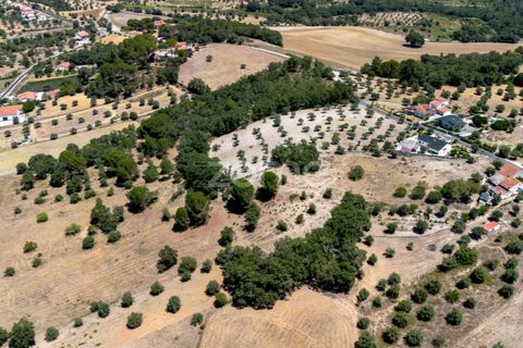 Helårsgrund i Tomar, Santarem, Tomar - € 238.000 | Ref: ZMPT559351 - foto 20