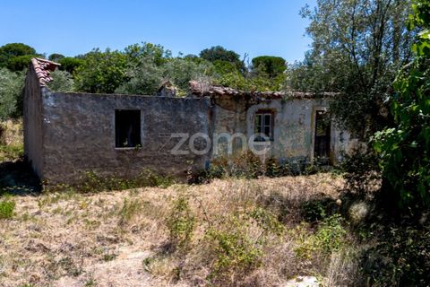 Helårsgrund i Tomar, Santarem, Tomar - € 238.000 | Ref: ZMPT559351 - foto 10