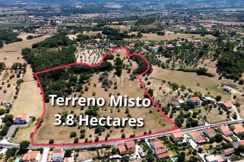 Helårsgrund i Tomar, Santarem, Tomar - € 238.000 | Ref: ZMPT559351 - foto 2