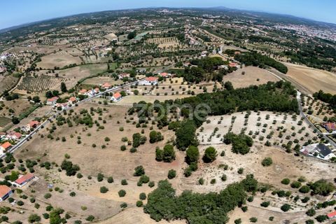Terra a Tomar, Santarem, Tomar - € 238.000 | Ref: ZMPT559351 - foto 5