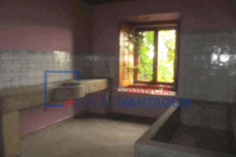 Villa i Constancia, Santarem, Constancia - € 514.000 | Ref: M-25641 - foto 4