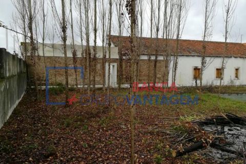 Villa i Constancia, Santarem, Constancia - € 514.000 | Ref: M-25641 - foto 7