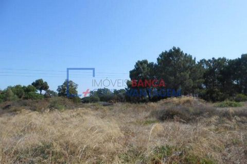 Helårsgrund i Barreiro, Setubal, Barreiro - € 55.000 | Ref: T-25666 - foto 8