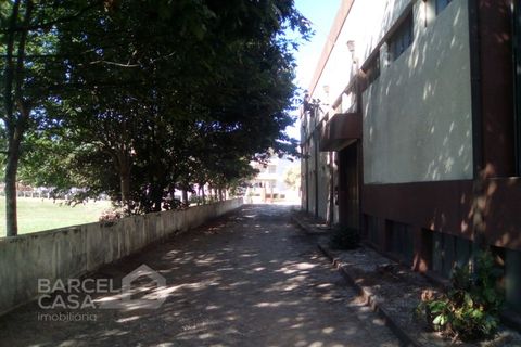 Erhvervsejendom i Barcelos, Braga, Barcelos - € 900.000 | Ref: 155/19 - foto 4