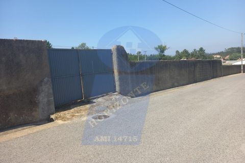 Terra a Barro, Aveiro, Barro - € 90.000 | Ref: TER_1040 - foto 2