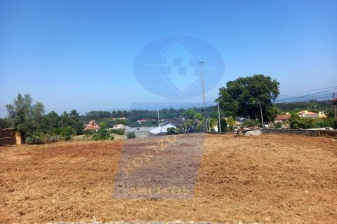Terra a Barro, Aveiro, Barro - € 90.000 | Ref: TER_1040 - foto 3