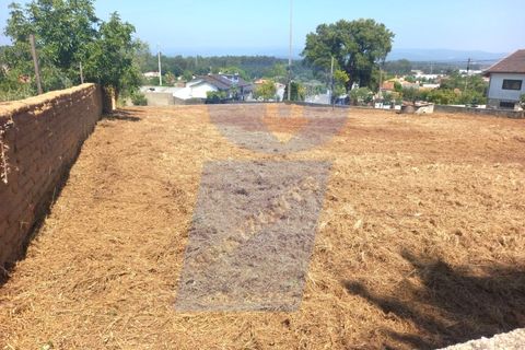 Terra a Barro, Aveiro, Barro - € 90.000 | Ref: TER_1040 - foto 4