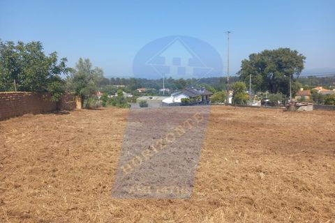 Terra a Barro, Aveiro, Barro - € 90.000 | Ref: TER_1040 - foto 5