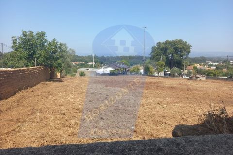 Terra a Barro, Aveiro, Barro - € 90.000 | Ref: TER_1040 - foto 6