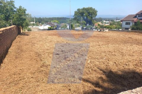 Terra a Barro, Aveiro, Barro - € 90.000 | Ref: TER_1040 - foto 7