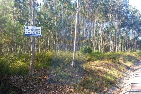 Helårsgrund i Barro, Aveiro, Barro - € 8.000 | Ref: TER_1039 - foto 1