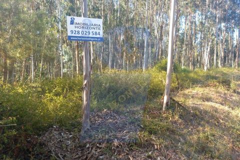 Helårsgrund i Barro, Aveiro, Barro - € 8.000 | Ref: TER_1039 - foto 2