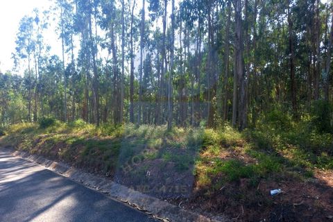 Helårsgrund i Barro, Aveiro, Barro - € 8.000 | Ref: TER_1039 - foto 4