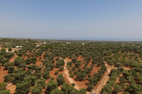 Villa i Carovigno, Brindisi, Carovigno - € 97.000 | Ref: 636 - foto 1