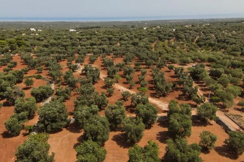 Villa i Carovigno, Brindisi, Carovigno - € 97.000 | Ref: 636 - foto 3