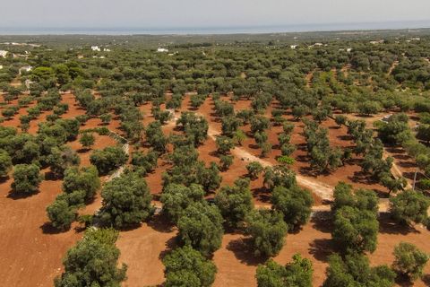 Villa i Carovigno, Brindisi, Carovigno - € 97.000 | Ref: 636 - foto 4