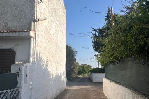 Villa i Ostuni, Brindisi, Ostuni - € 150.000 | Ref: 641 - foto 4