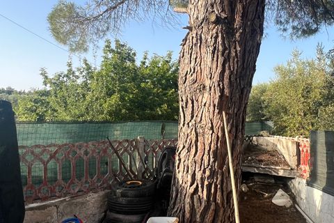 Villa i Ostuni, Brindisi, Ostuni - € 150.000 | Ref: 641 - foto 5
