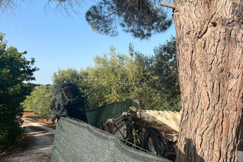 Villa i Ostuni, Brindisi, Ostuni - € 150.000 | Ref: 641 - foto 6